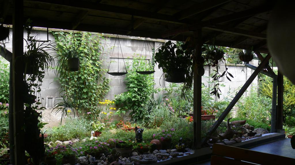 Villa Climate Guest House Várna Kültér fotó